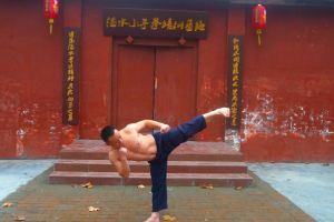 中國當代武林人物誌