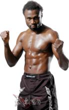 胡斯&middot;哥路沙