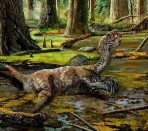 泥潭通天龍 泥潭通天龍