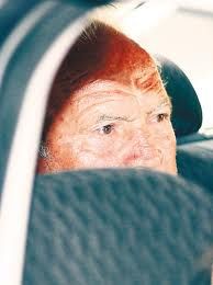 多梅尼科·奧佩迪薩諾 多梅尼科·奧佩迪薩諾