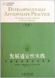 發展適宜性實踐 發展適宜性實踐