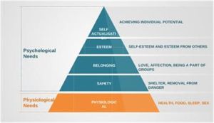 五層次管理模型