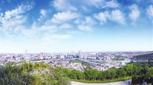 美峰林場 美峰林場