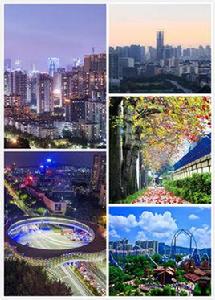 南山區[深圳市轄區]