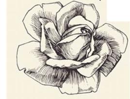 知識生態學 知識生態學