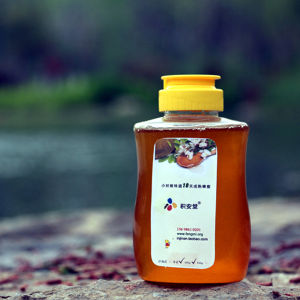 積安堂蜂蜜 積安堂蜂蜜