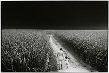 “失落的優雅”—南投埔里，1979