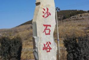 沙石峪[河北省遵化市新店子鎮]