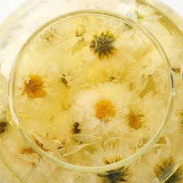 貢菊花茶 貢菊花茶