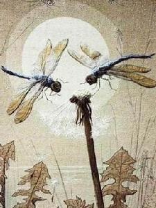 惟妙惟肖的昆蟲