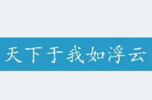 天下於我如浮雲 天下於我如浮雲