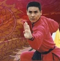 趙長軍[陝西省武術協會副主席]