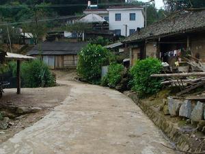 雲南省勐海縣西定鄉曼來村進村道路