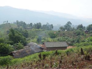 小壩子田村 小壩子田村