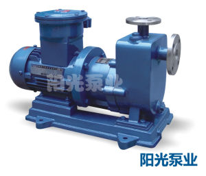 大流量高揚程自吸泵 大流量高揚程自吸泵