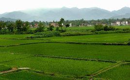 耕地占補平衡 耕地占補平衡