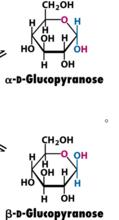 D-Glucose環化產物：兩個異頭物 α-和β-
