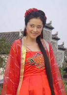 中華小當家[2005年蕭正楠、何潤東主演電視劇]