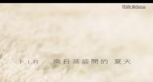 向日葵盛開的夏天 向日葵盛開的夏天