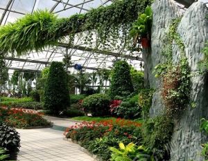 合肥豐樂生態園 合肥豐樂生態園