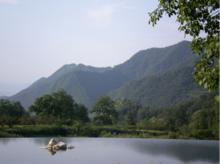 寶雞[原陝西省寶雞市下轄的縣]