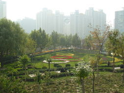 望京體育公園 望京體育公園