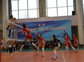 2018年全國青少年U18女排錦標賽 2018年全國青少年U18女排錦標賽