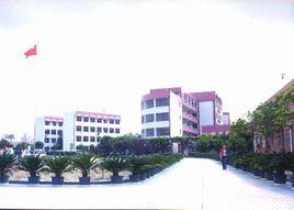 莘光學校 莘光學校