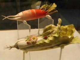 象牙白菜 象牙白菜