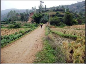 先鋒中村 先鋒中村