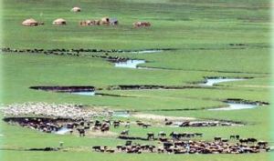 中國草場資源 中國草場資源