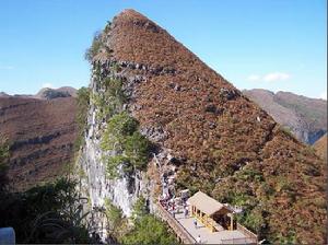 大石圍位於樂業縣同樂鎮刷把村的北邊，屬紅水河南端的乾熱河谷地帶，經國土資源部岩落地質專家和岩溶洞穴專家實地考察論證，大石圍的地下原始森林面積為世界第一，深度約為613米，居世界同類大型岩容漏斗第二，長約為600米，寬約為420米，其容積的0.8億立方米，也處於世界第二位，有世界“岩溶聖地”之美稱。