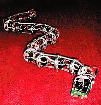 （圖）機器蛇