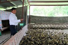 城北鄉[重慶市梁平縣城北鄉]