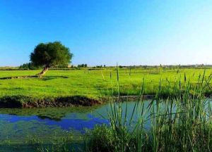 阿古拉草原旅遊區