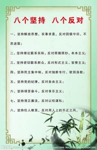 八個堅持，八個反對