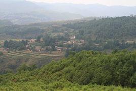 龍場鎮[雲南省宣威市龍場鎮]