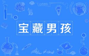 寶藏男孩[網路用語]