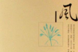 風——中國現代經典美文書系 風——中國現代經典美文書系