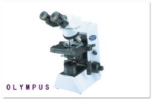 泌尿生殖道蠅蛆