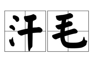 汗毛 汗毛