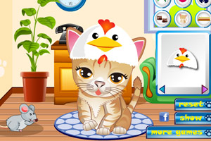 搞怪小貓咪 搞怪小貓咪