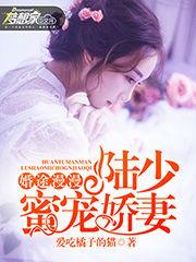 婚途漫漫:陸少蜜寵嬌妻 婚途漫漫:陸少蜜寵嬌妻
