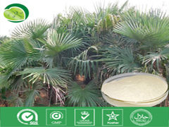鋸葉棕提取物 鋸葉棕提取物