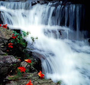 李世權[攝影師]