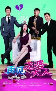 再見,老婆大人 再見,老婆大人