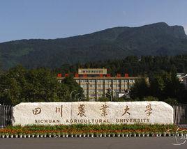 四川農業大學吧 四川農業大學吧