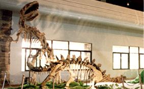 恐龍博物館