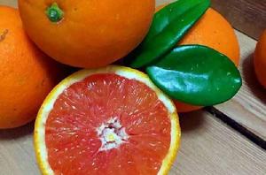 江西血橙 江西血橙