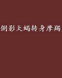 倒影天蠍轉身摩羯 倒影天蠍轉身摩羯